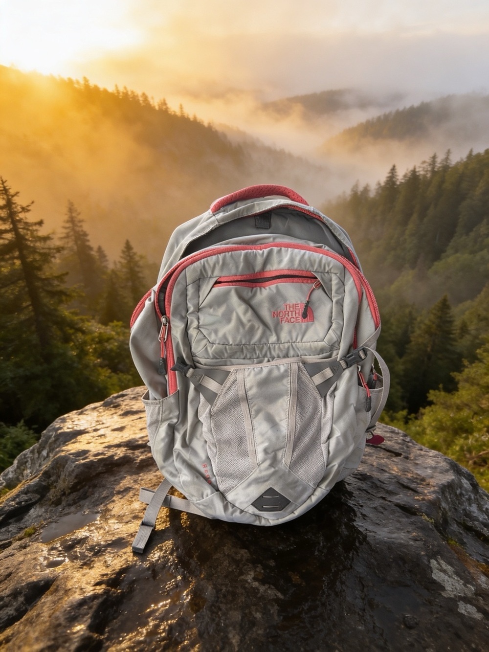 The North Face Gray Backpack with Coral Accents